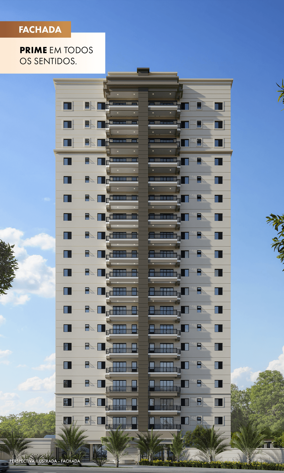 Carrossel Ficha Tecnica